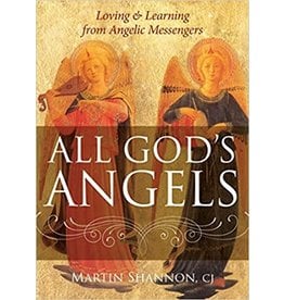 All God's Angels: Loving and Learning from Angelic Messengers  by Martin Shannon CJ