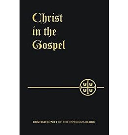 Christ in the Gospel by Joseph B. Frey (Paperback)