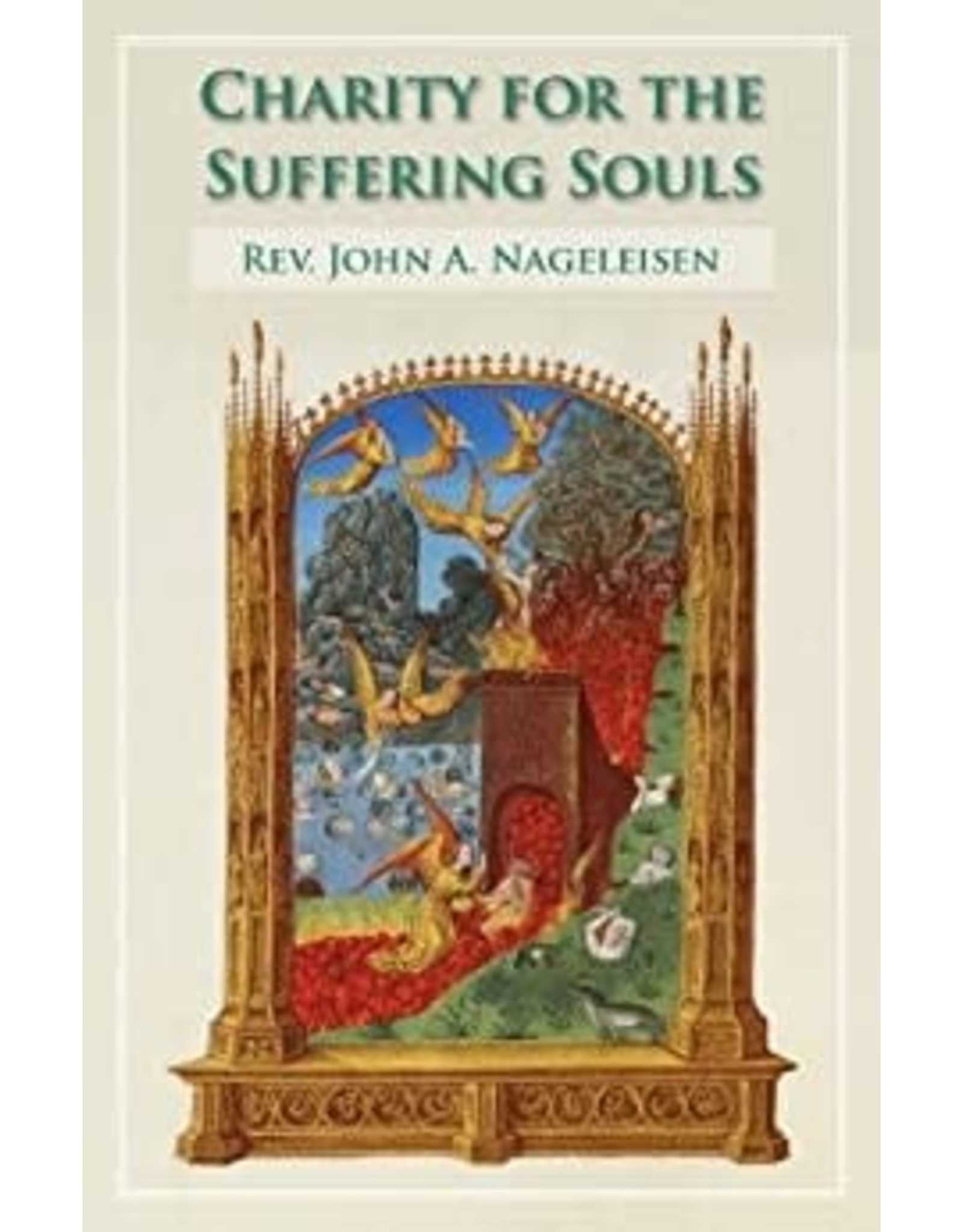 Tan Books Charity For The Suffering Souls: An Explanation Of The Catholic Doctrine Of Purgatory by Rev. Fr. John A. Nageleisen (Paperback)