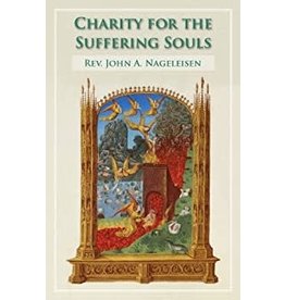 Tan Books Charity For The Suffering Souls: An Explanation Of The Catholic Doctrine Of Purgatory by Rev. Fr. John A. Nageleisen (Paperback)