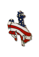 Tom Balding American Flag Steamboat Pin