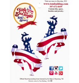 Tom Balding Two Small American Flag Steamboat Decals