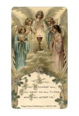 Refuge of Sinners Publishing Act of Spiritual Communion Laminated Holy Card