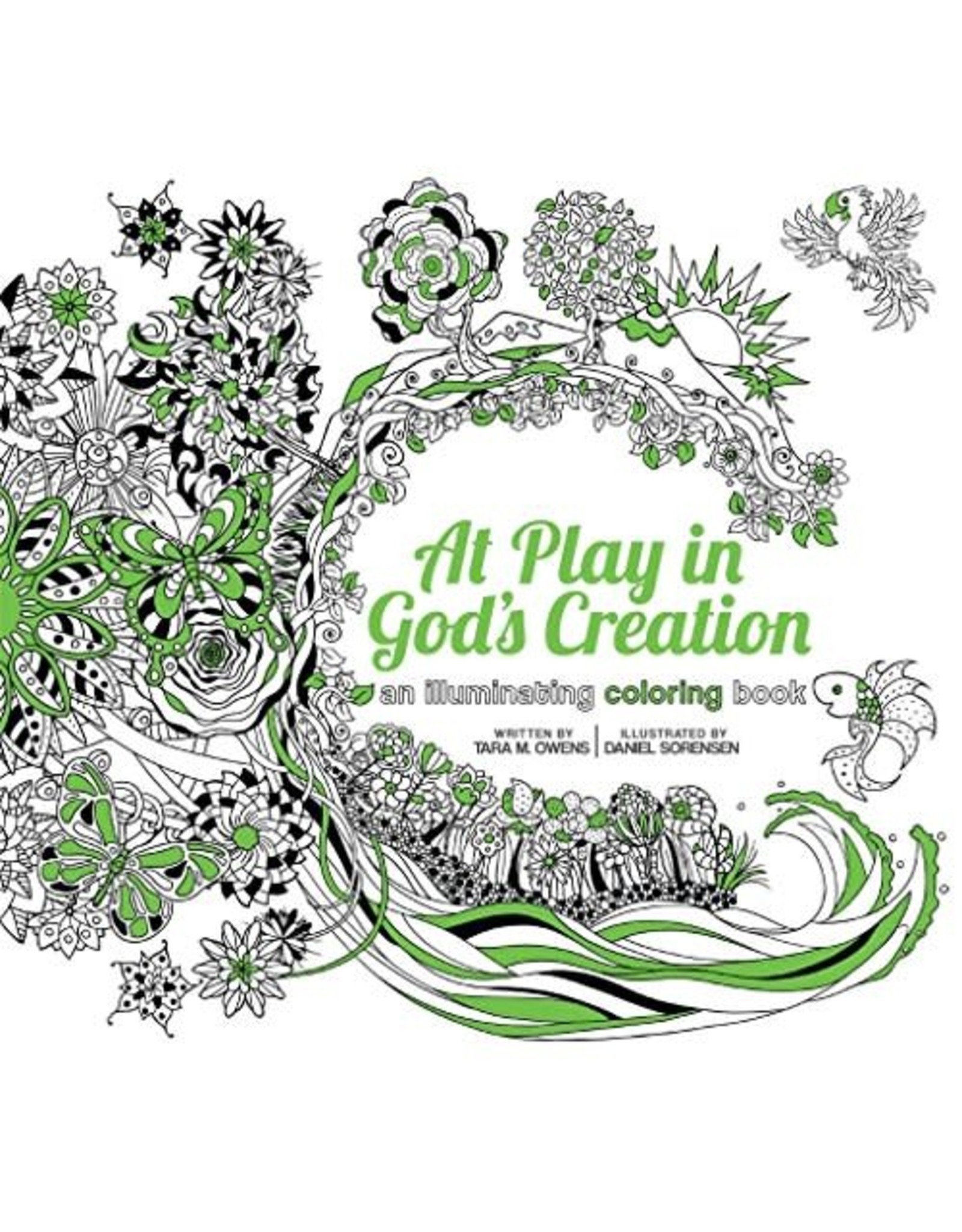 Franciscan Media At Play in God's Creation: An Illuminating Coloring Book