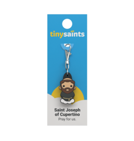 Tiny Saints Tiny Saints Charm - St Joseph of Cupertino