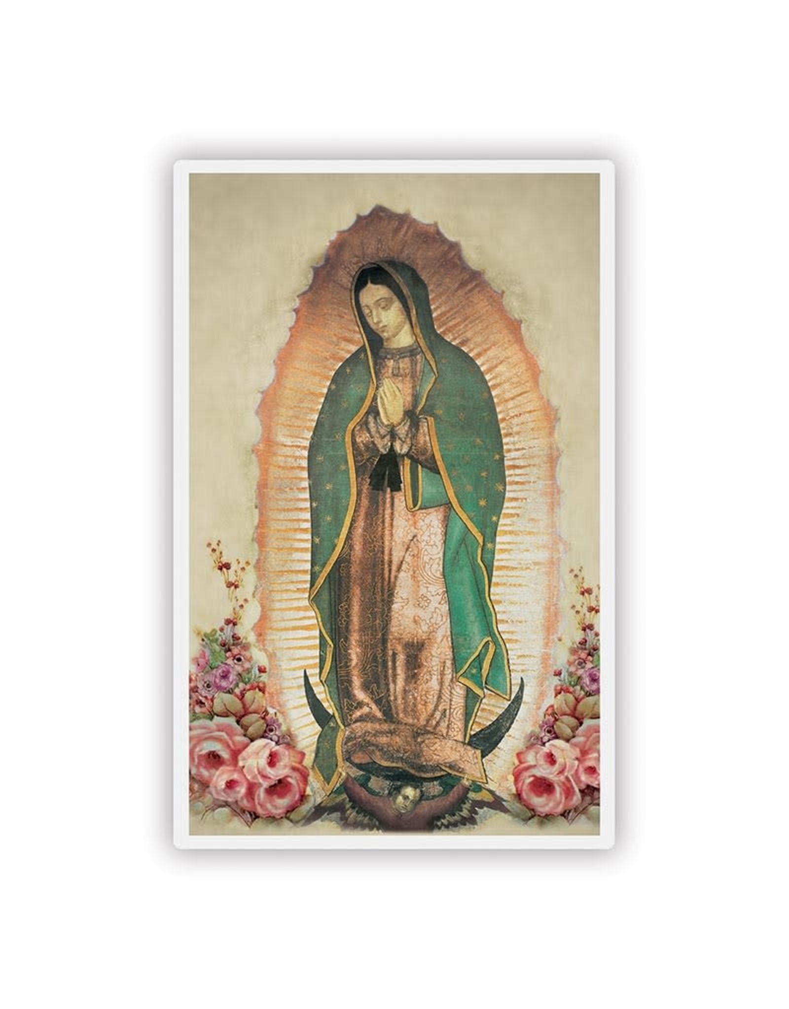 Autom Our Lady of Guadalupe Spanish Large Print Laminated Holy Card