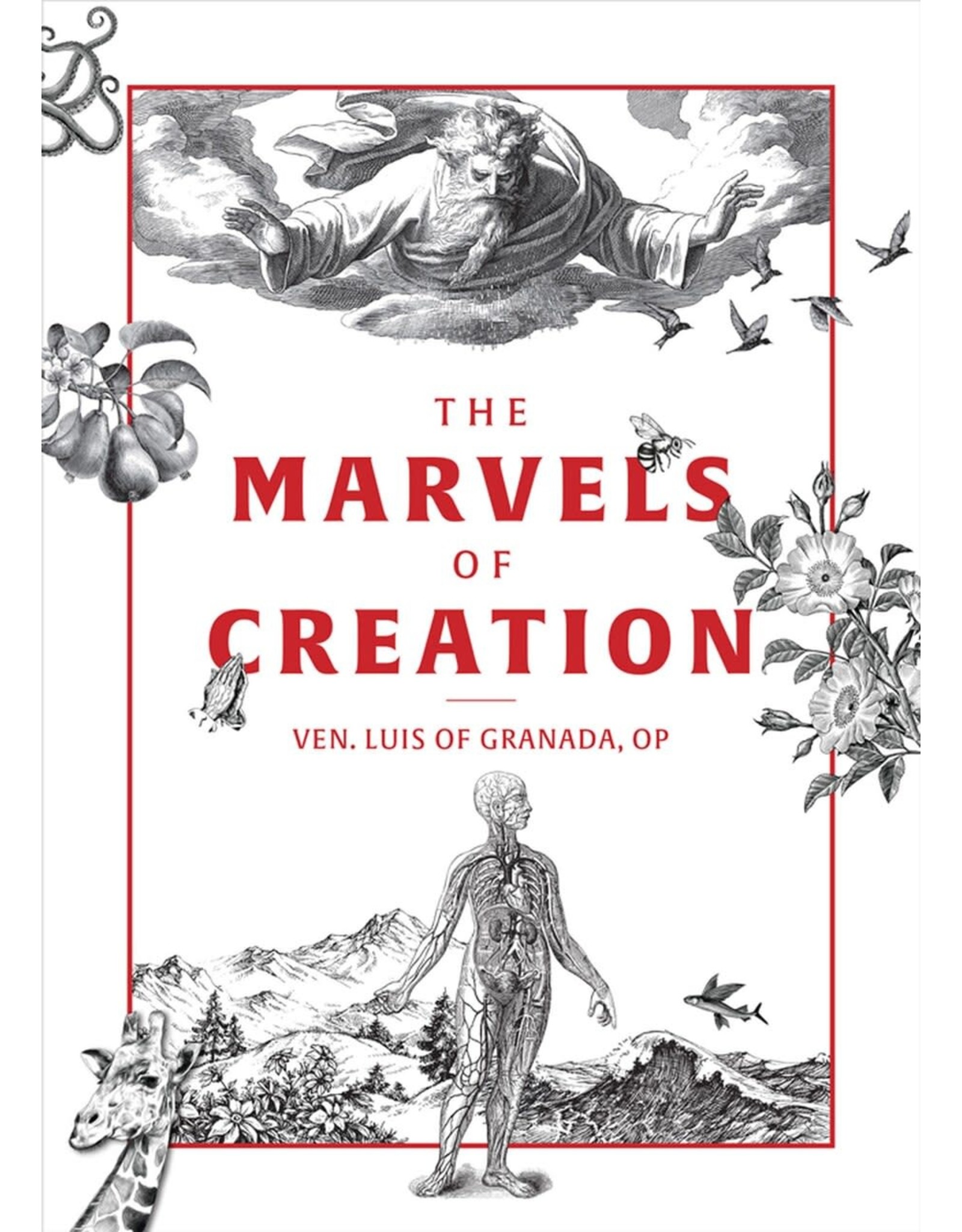 Tan Books The Marvels of Creation by Ven. Luis of Granada, OP (Paperback)