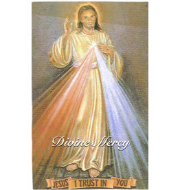 Renu Globe - Divine Mercy