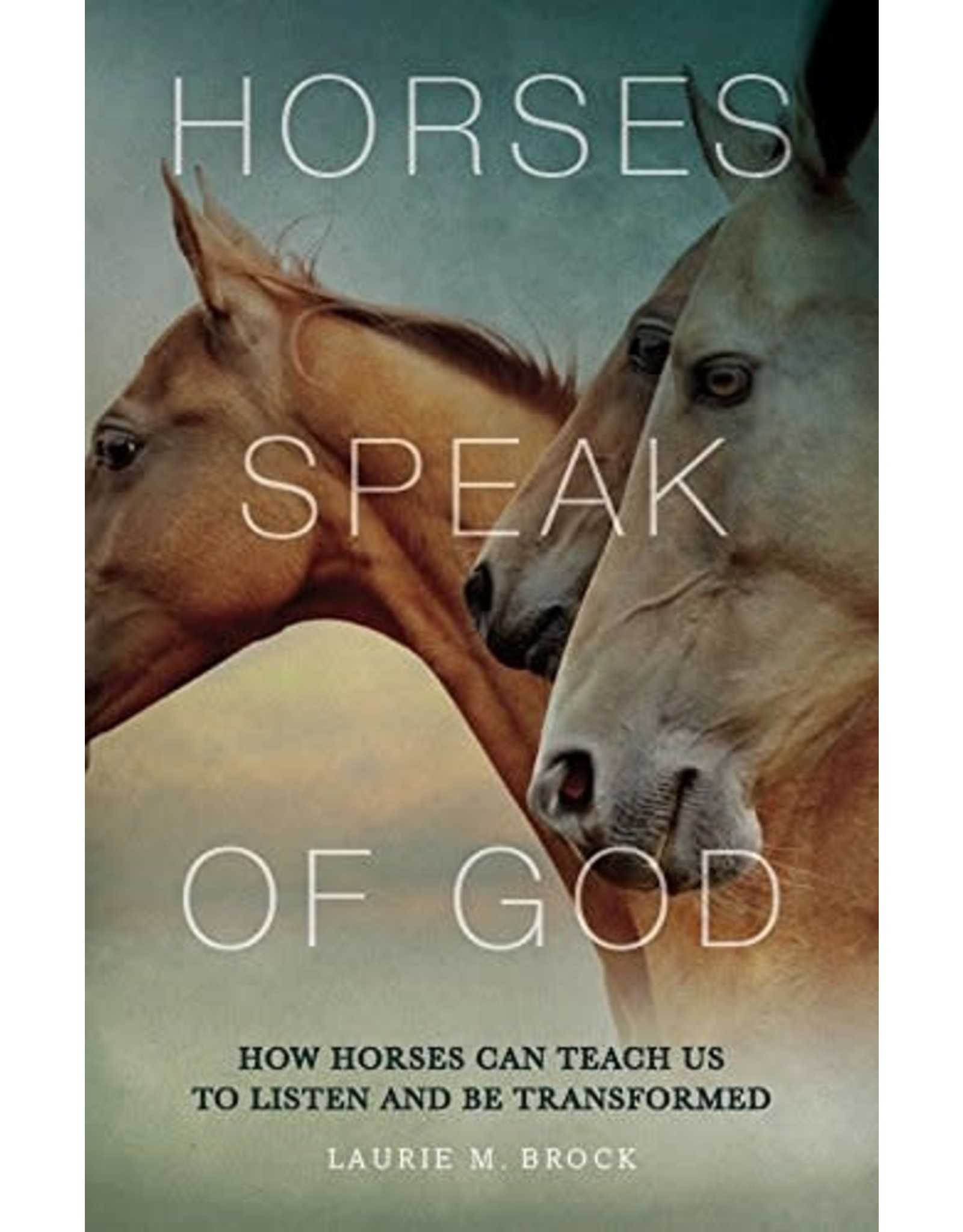 Paraclete Press Horses Speak of God by Laurie M. Brock