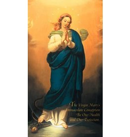 Association of Marian Helpers IMMACULATE CONCEPTION CHAPLET OF THE 10 EVANGELICAL VIRTUES OF THE BLESSED VIRGIN MARY Holy Card