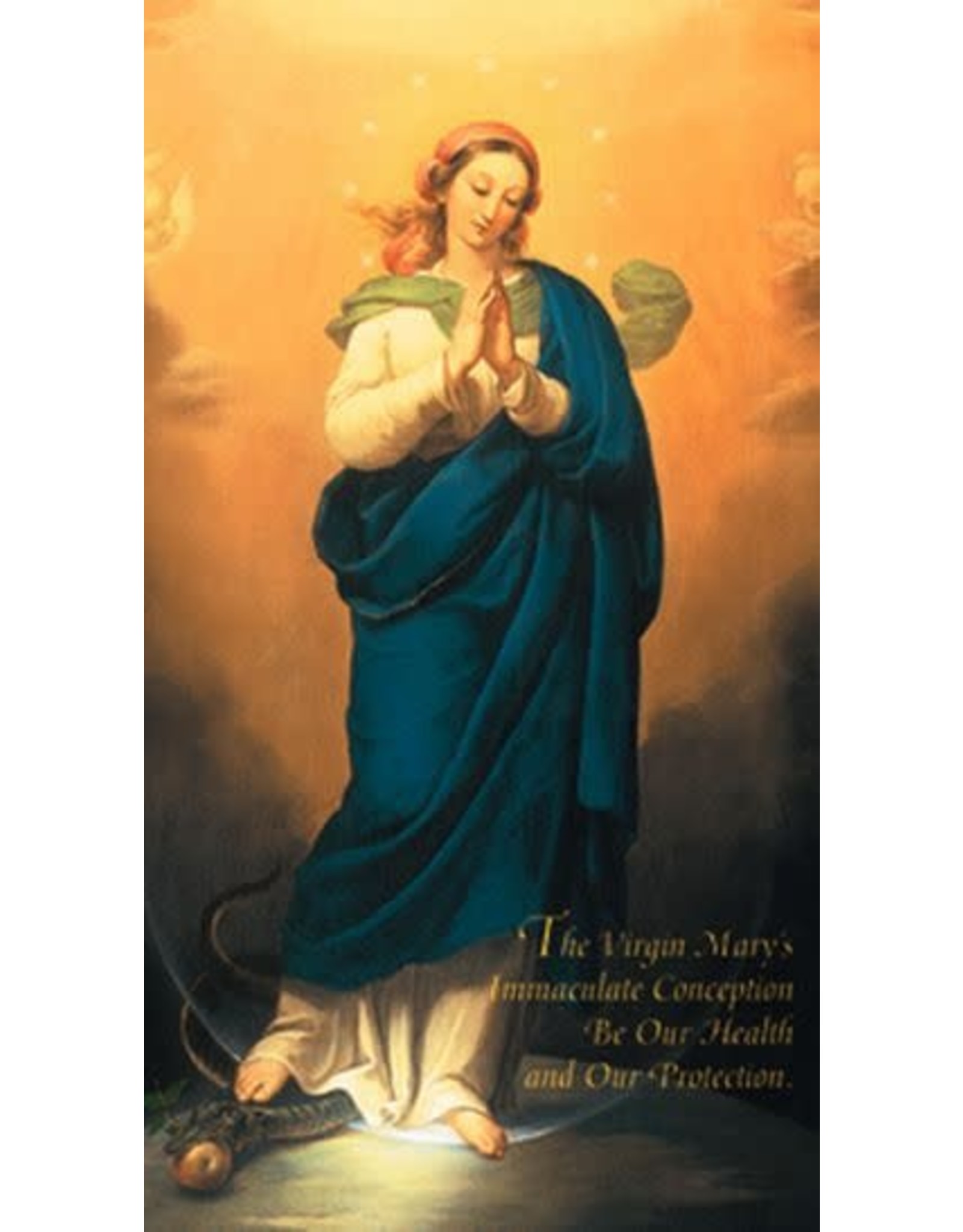 Association of Marian Helpers IMMACULATE CONCEPTION CHAPLET OF THE 10 EVANGELICAL VIRTUES OF THE BLESSED VIRGIN MARY Holy Card