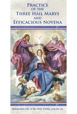Association of Marian Helpers Practice of the Three Hail Marys and Efficacious Novena (Prayer Pamphlet)