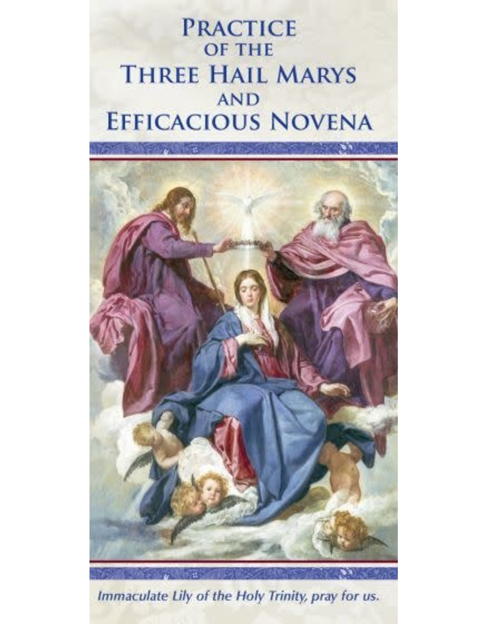 Association of Marian Helpers Practice of the Three Hail Marys and Efficacious Novena (Prayer Pamphlet)