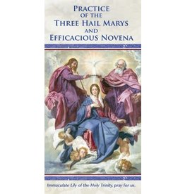 Association of Marian Helpers Practice of the Three Hail Marys and Efficacious Novena (Prayer Pamphlet)