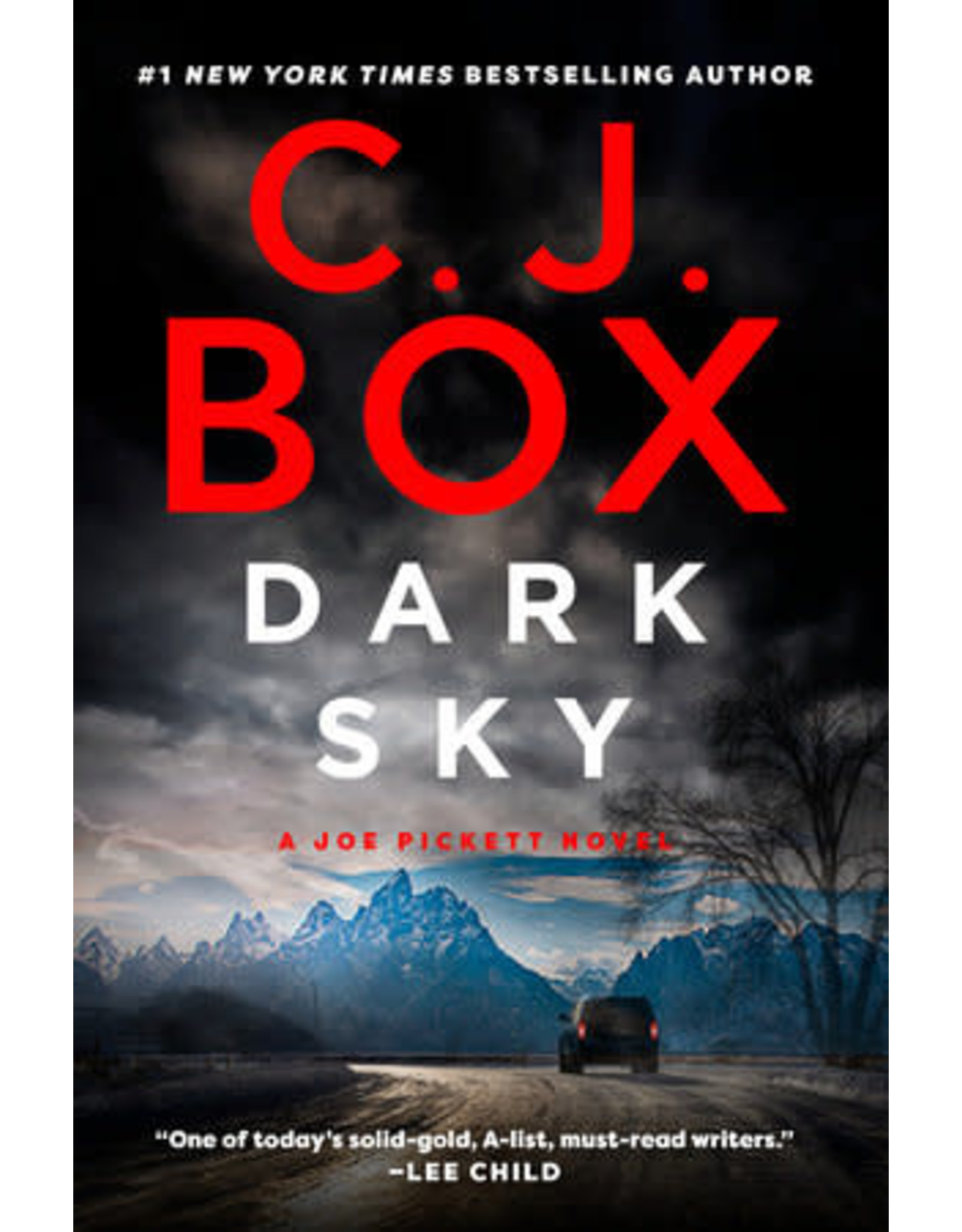 C. J. Box Dark Sky - A Joe Pickett Novel by C. J. Box - Large Print