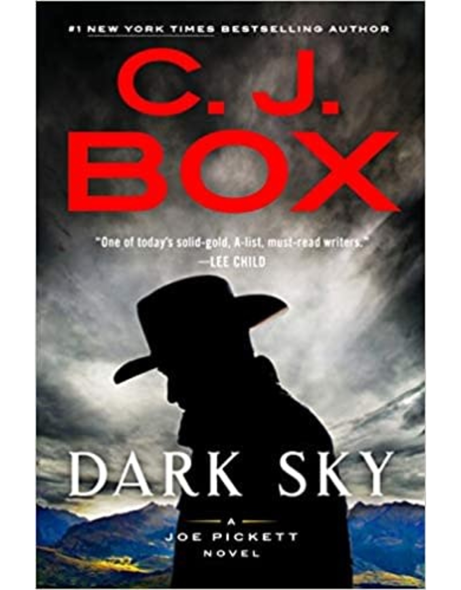 C. J. Box Dark Sky - A Joe Pickett Novel by C. J. Box - Large Print