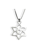 Sterling Silver Flowing Hearts Jewish Star Necklace