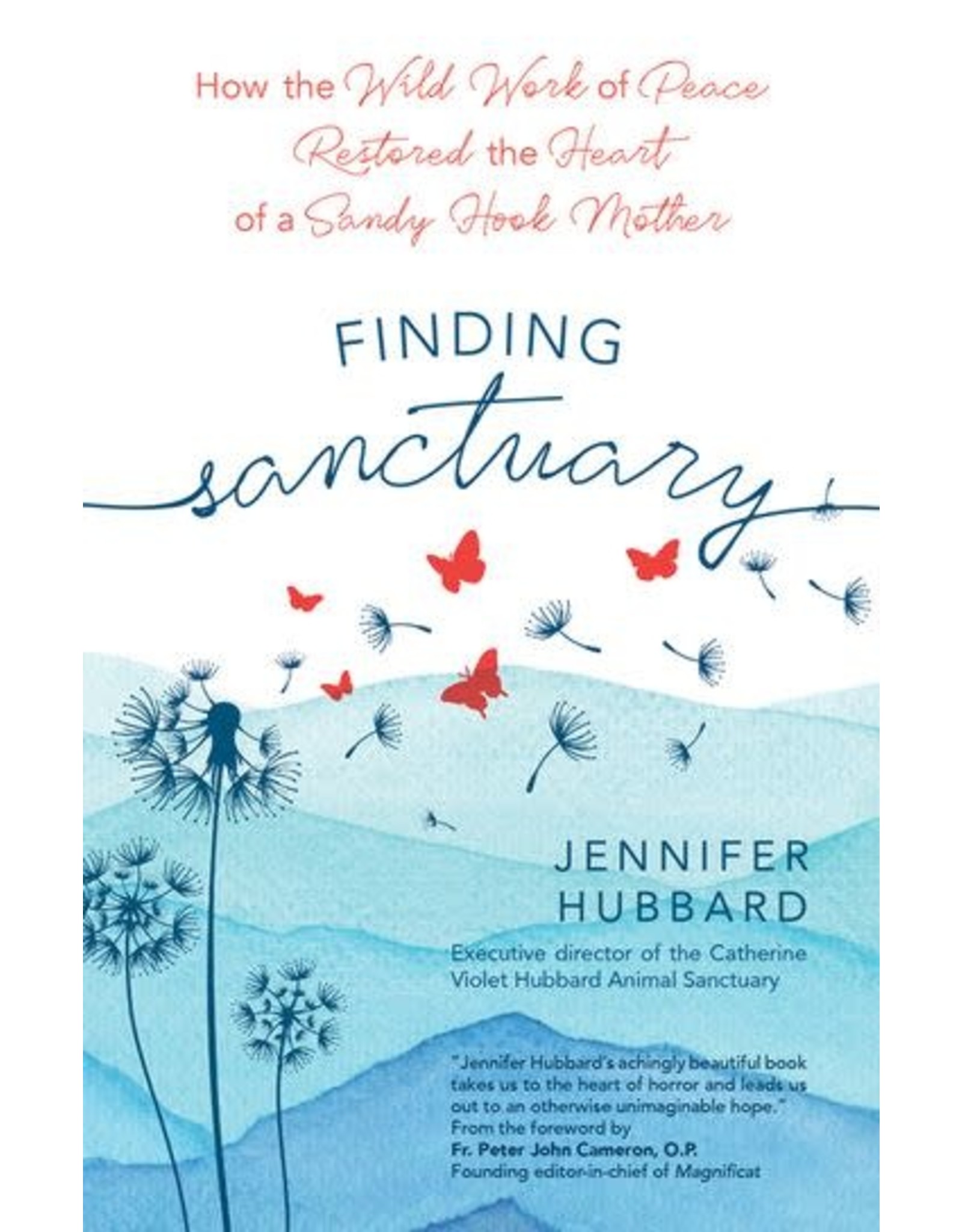 Ave Maria Press Finding Sanctuary - Jennifer Hubbard