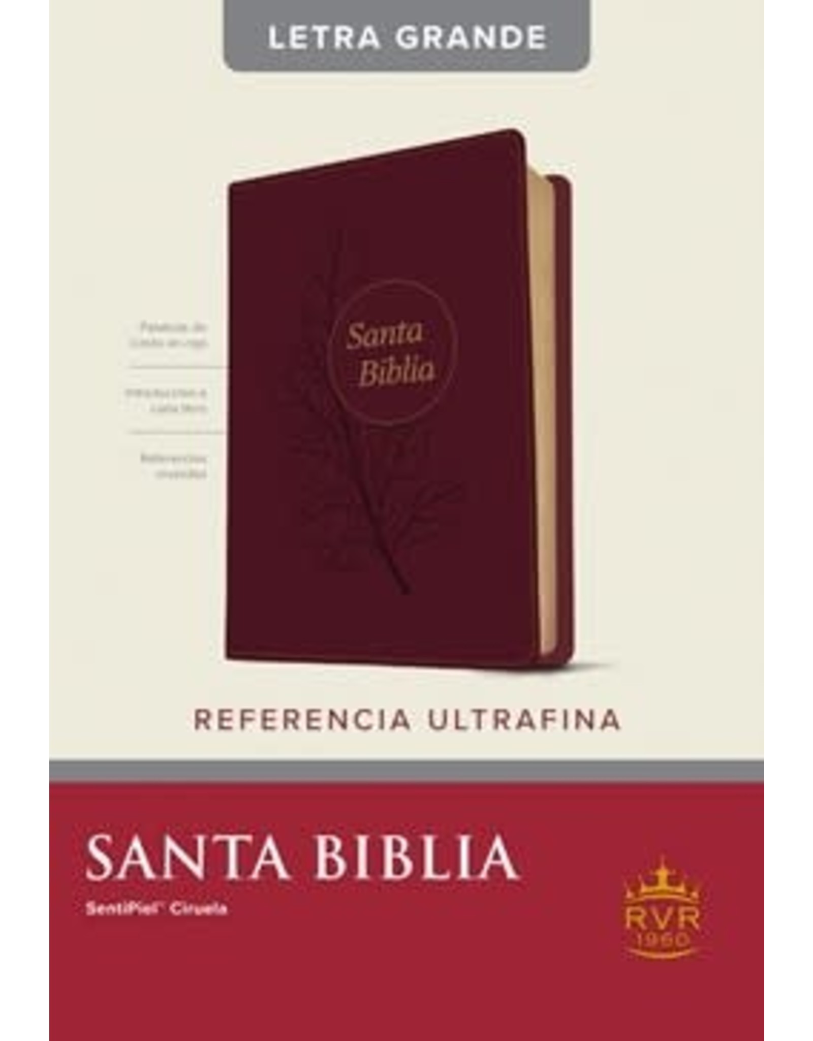 Santa Biblia - RVR60 - Referencia Ultrafina - Letra Grande
