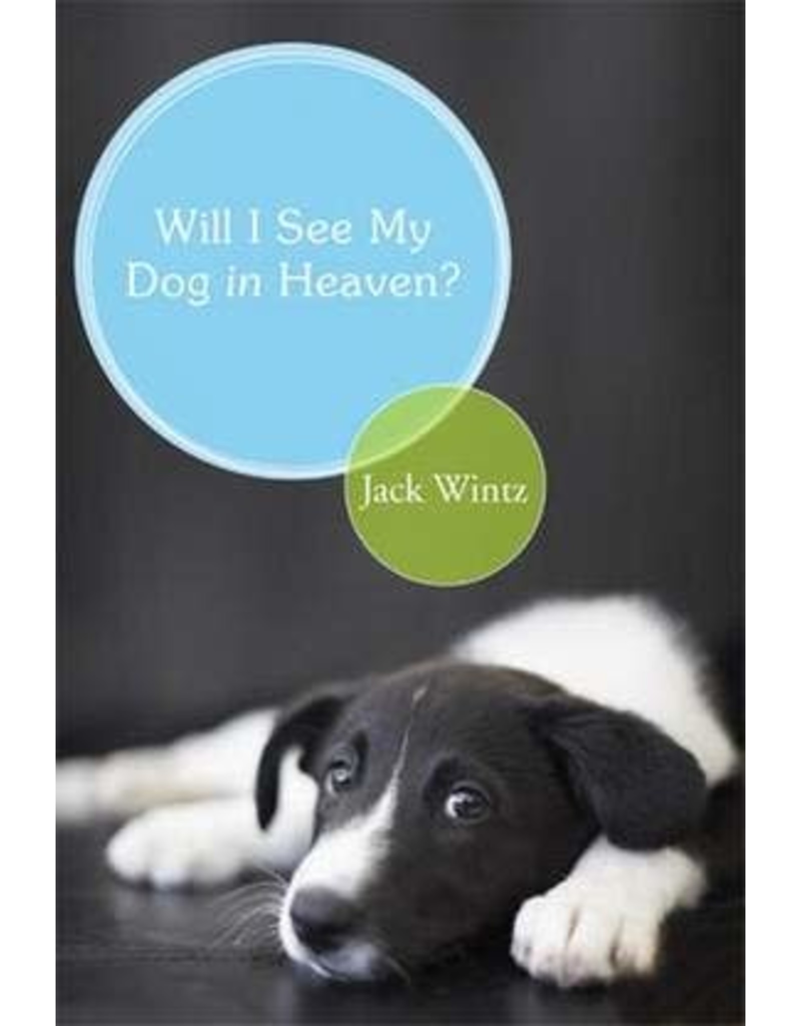 Paraclete Press Will I See My Dog  in Heaven?  By Jack Wintz (Softcover)