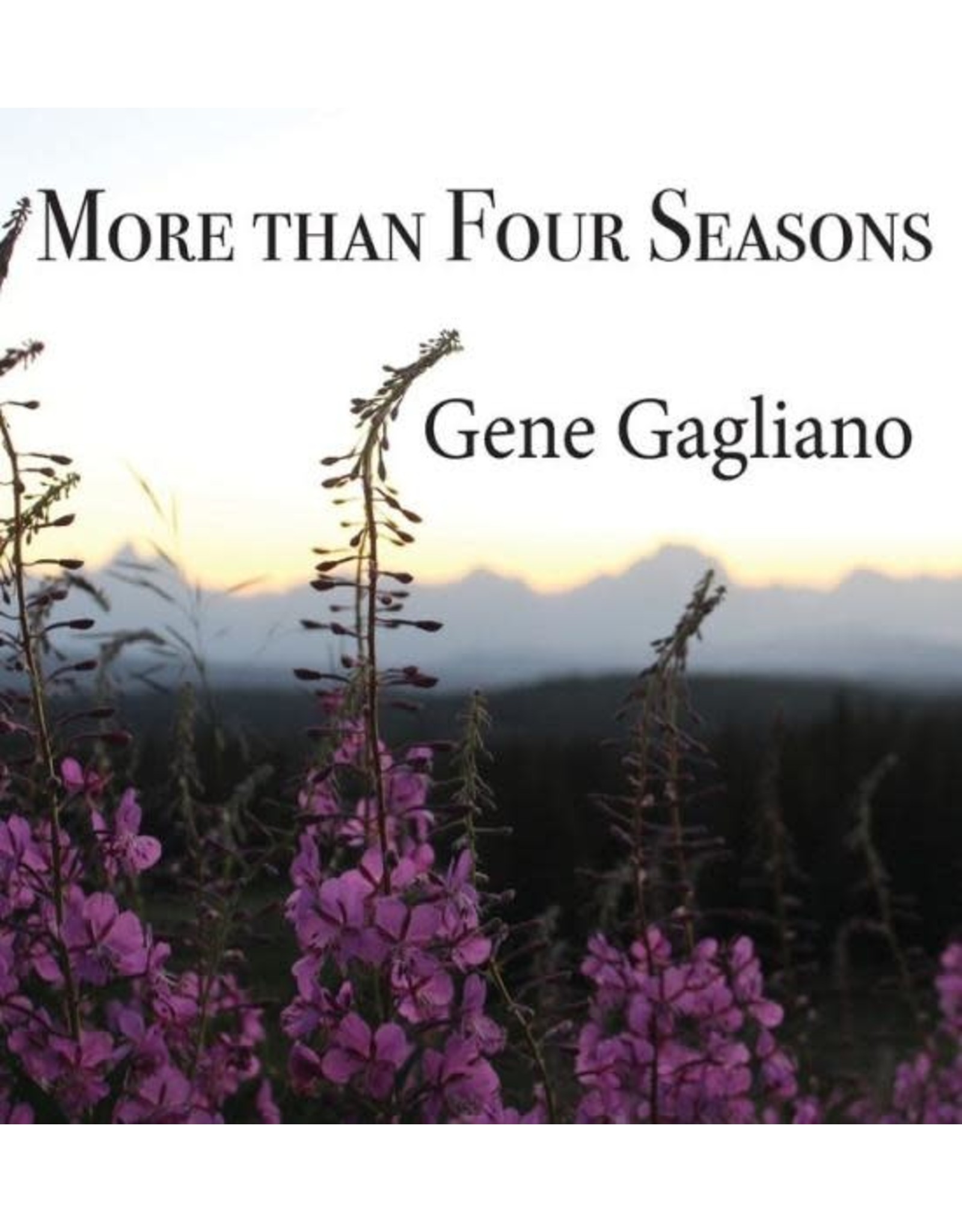Powder River Publishing More Than Four Seasons by Eugene Gagliano (Board Book)