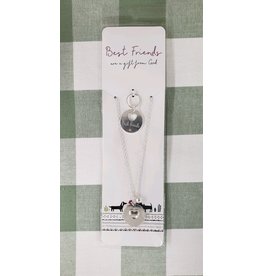 Living Grace Best Friends are a Gift from God Pet Medal and Necklace Set