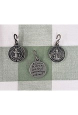 Living Grace St. Francis Pet Medal - Protect My Dog