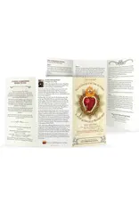 Full of Grace USA LARGE FONT  - SURRENDER NOVENA TRIFOLD HOLY CARD  (8" X 4.25" FOLDED)