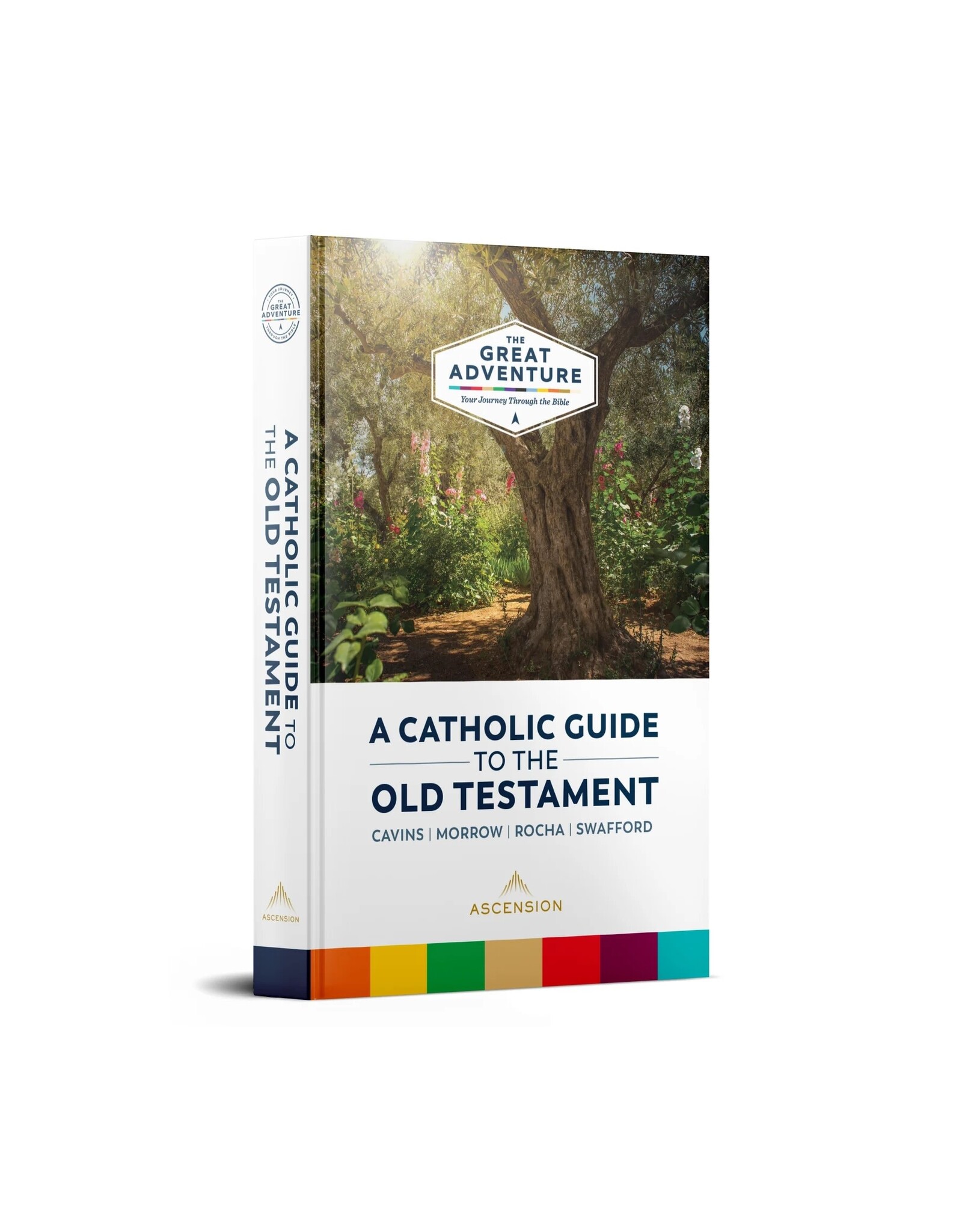 Ascension A Catholic Guide to the Old Testament