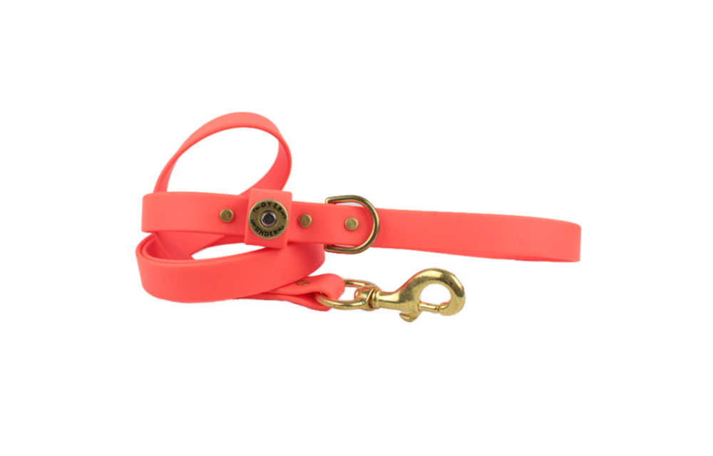 Water Dog Leash