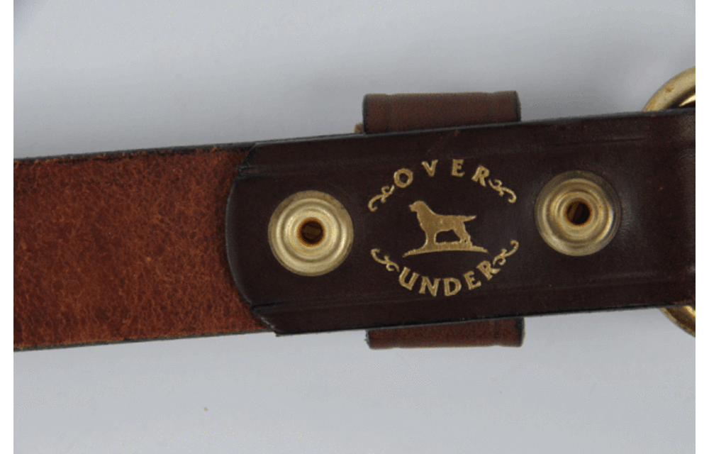 Single Shot Belt