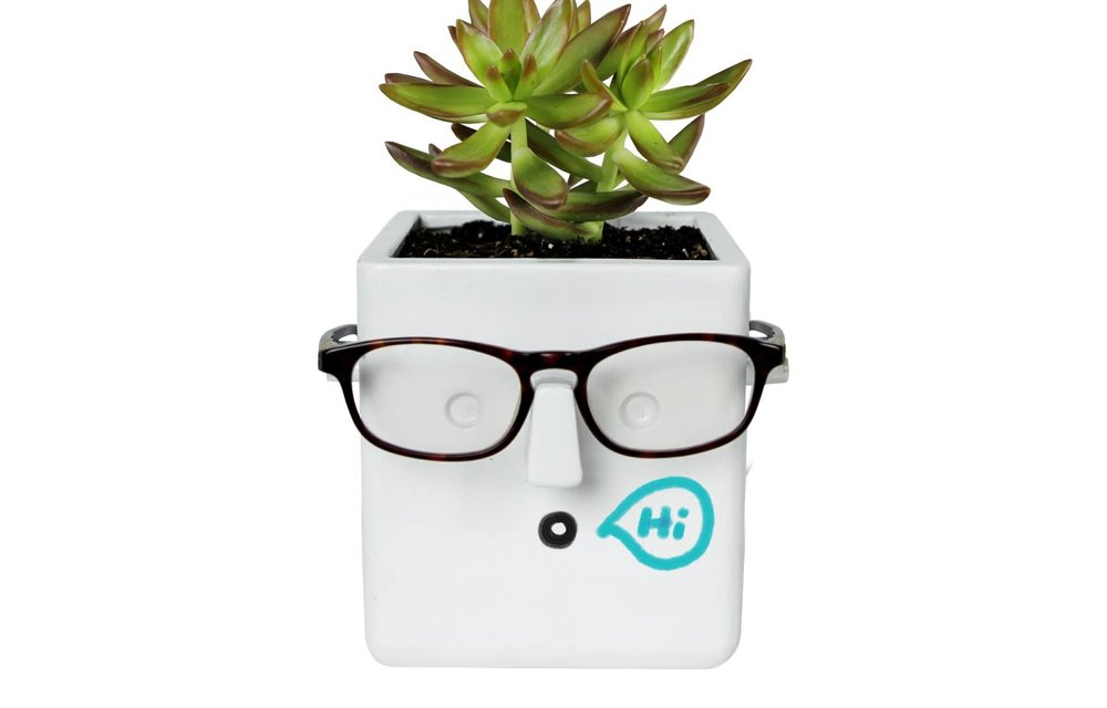 Face Plant Planter