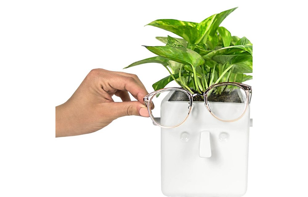 Face Plant Planter