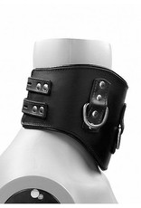 Shots Pain - Heavy Duty Leather Padded Posture Collar