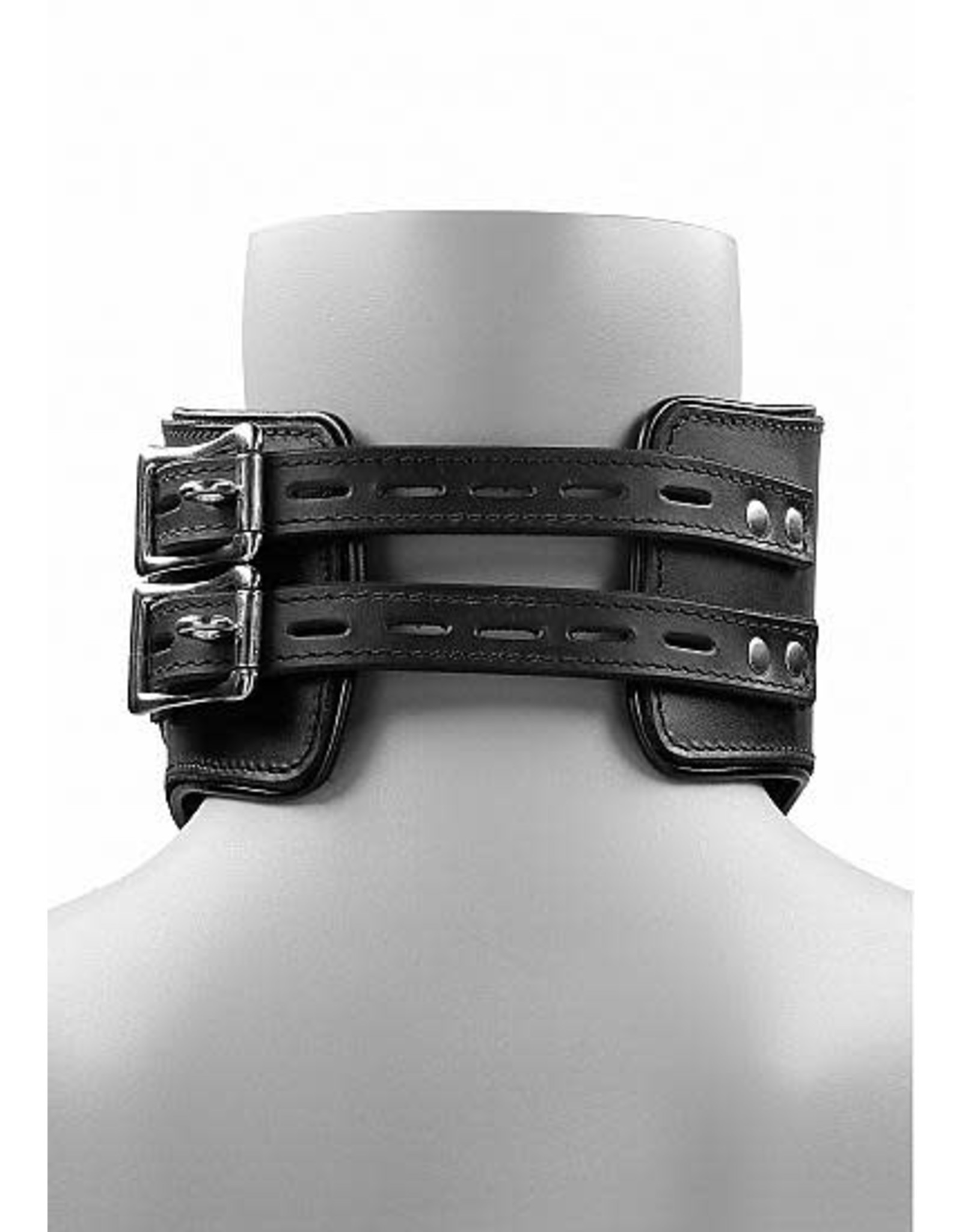 https://cdn.shoplightspeed.com/shops/632028/files/34220197/1600x2048x2/shots-pain-heavy-duty-leather-padded-posture-colla.jpg