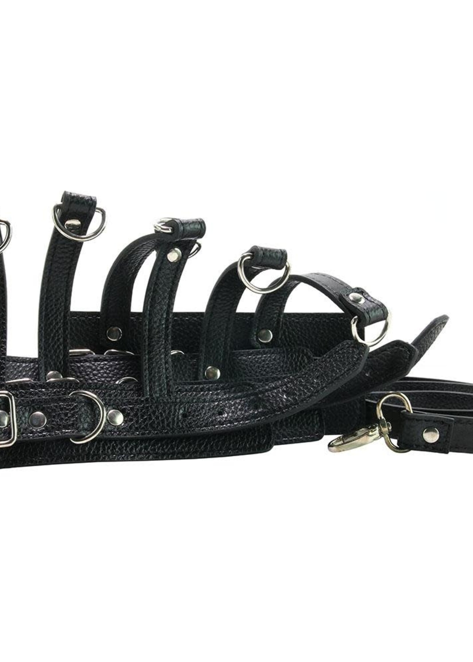 Mistress - Ball Stretcher Trainer Set With Leash