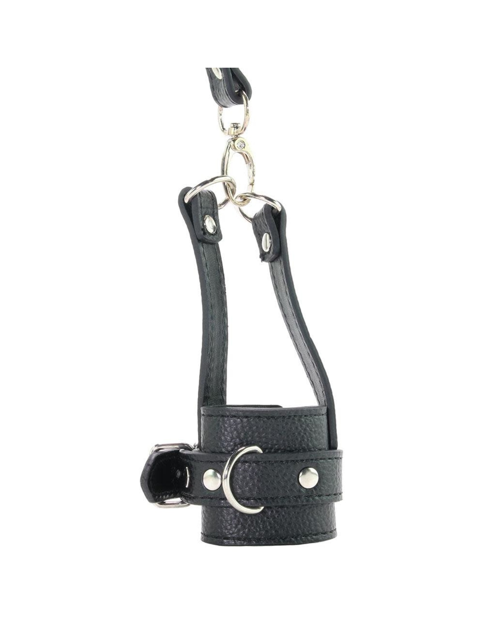 Mistress - Ball Stretcher Trainer Set With Leash