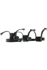 Mistress - Ball Stretcher Trainer Set With Leash