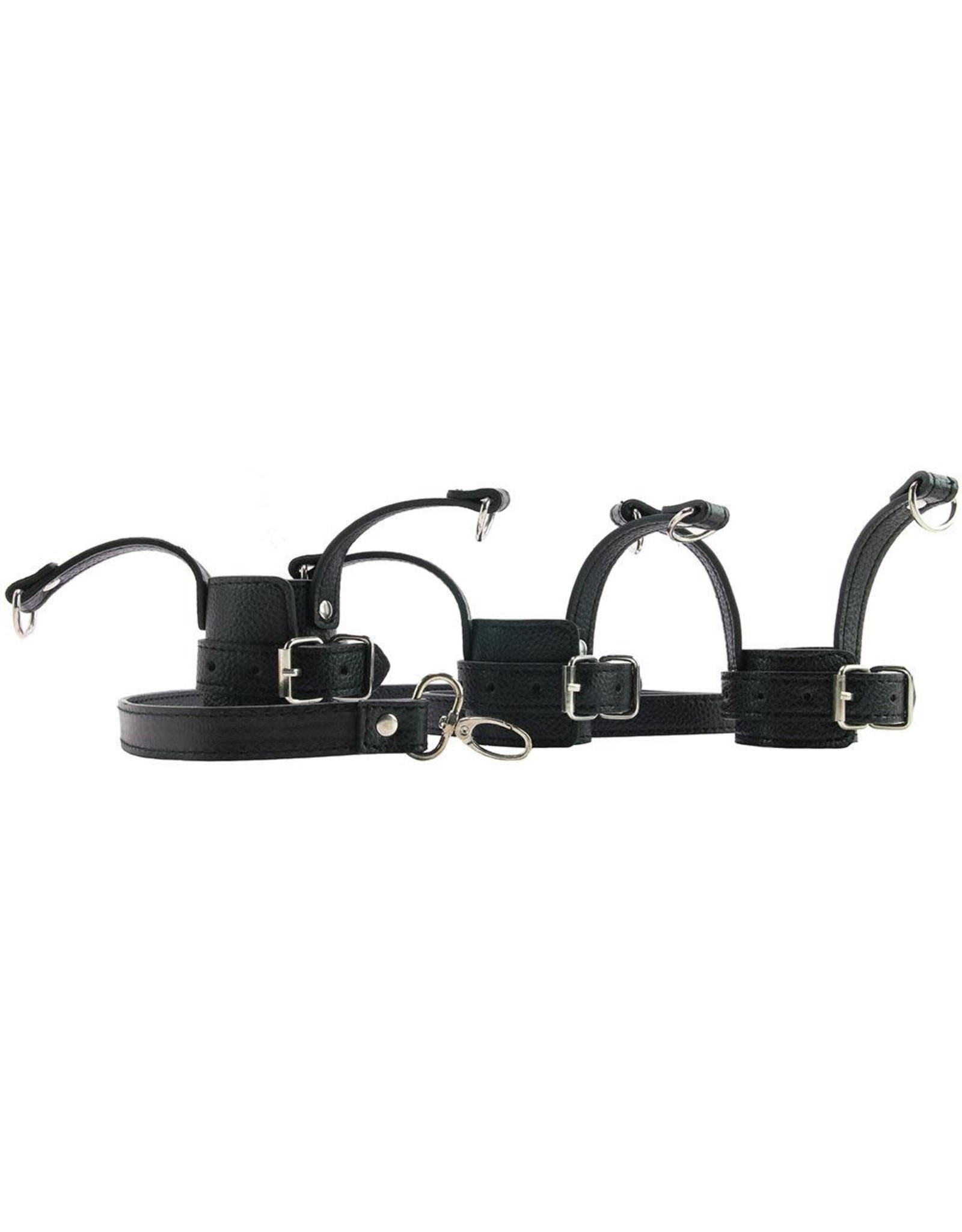 Mistress - Ball Stretcher Trainer Set With Leash