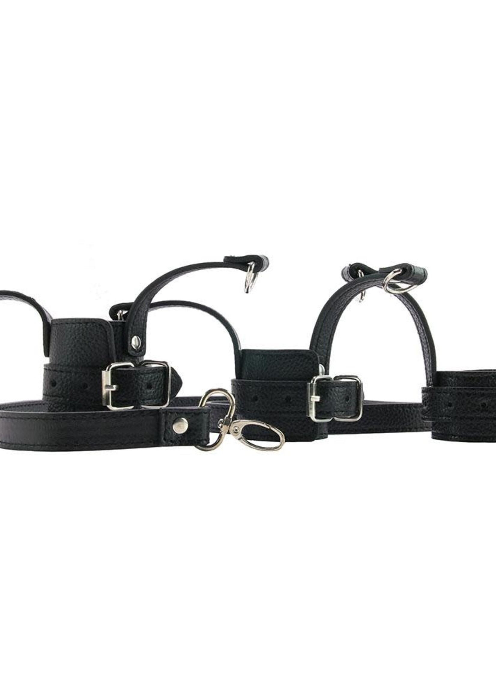 Mistress - Ball Stretcher Trainer Set With Leash