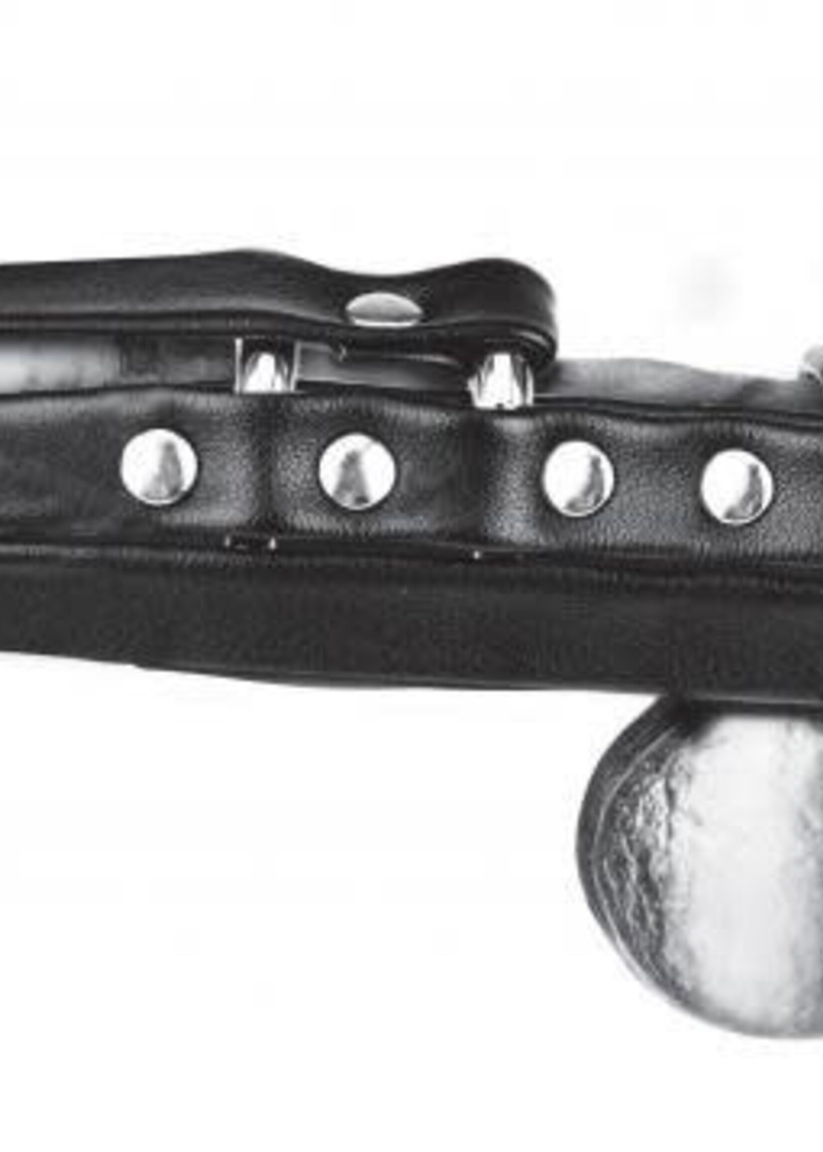 Blueline - Gimp Cock Locking Chastity Sheath