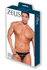 Allure Lingerie Zeus by Allure Leather - Wet Look Zipper Thong - OS - Black