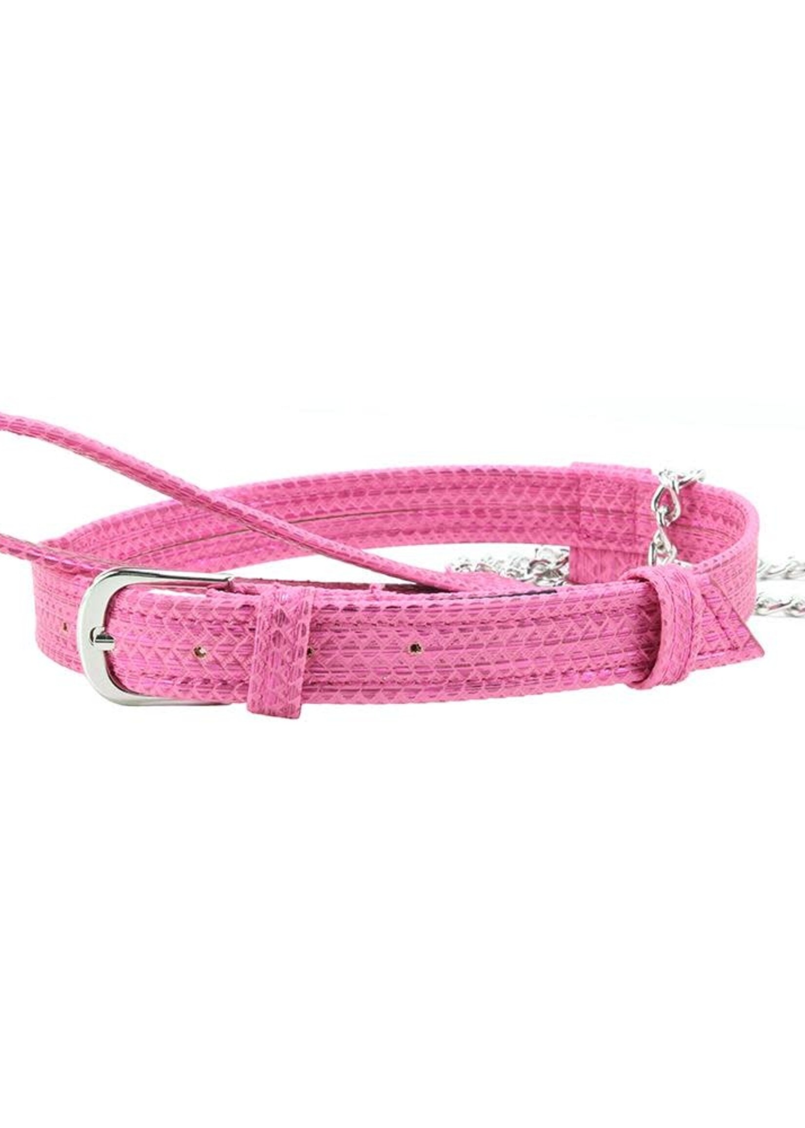 Calexotics Tickle Me Pink - Collar and Leash