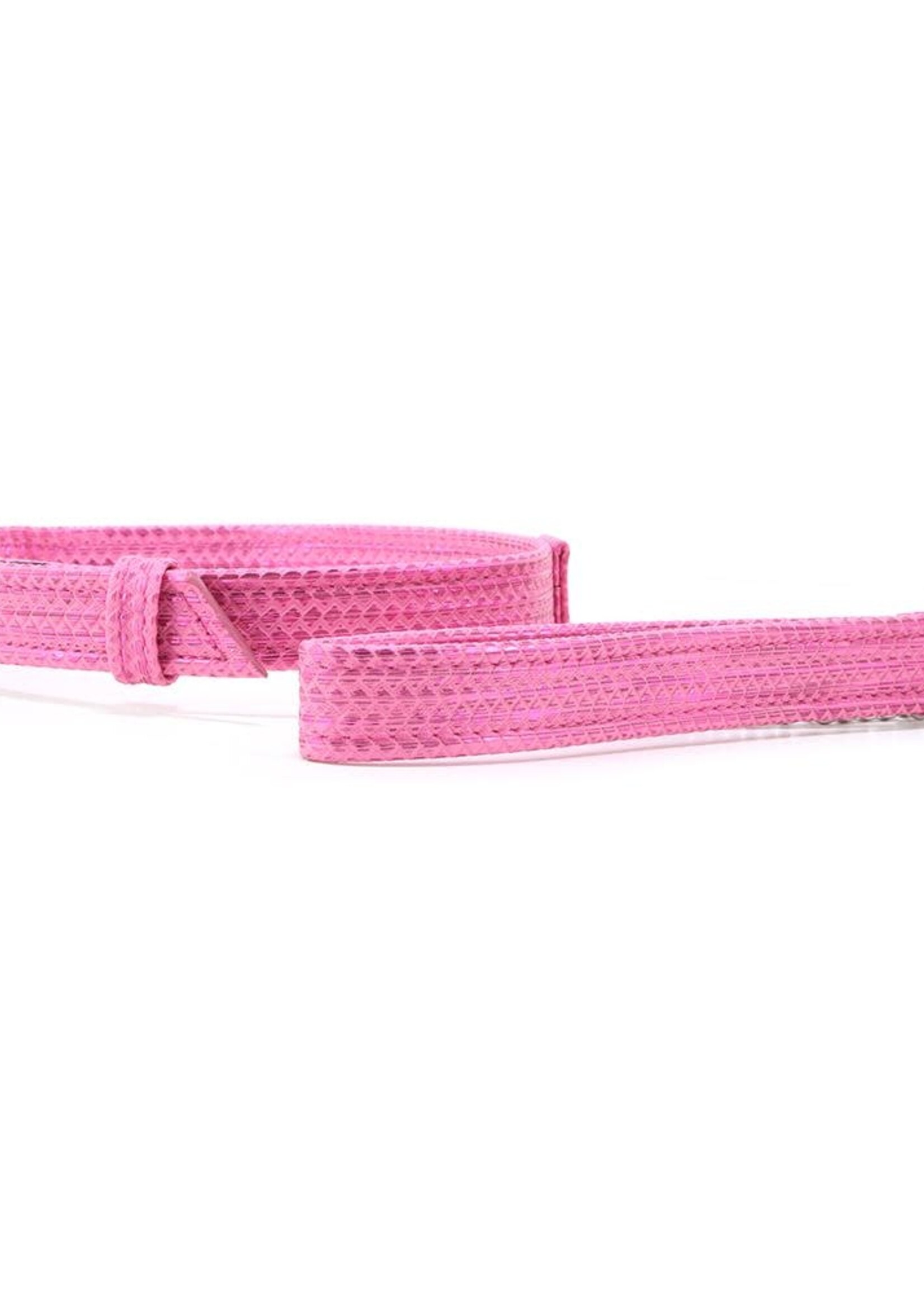 Calexotics Tickle Me Pink - Collar and Leash