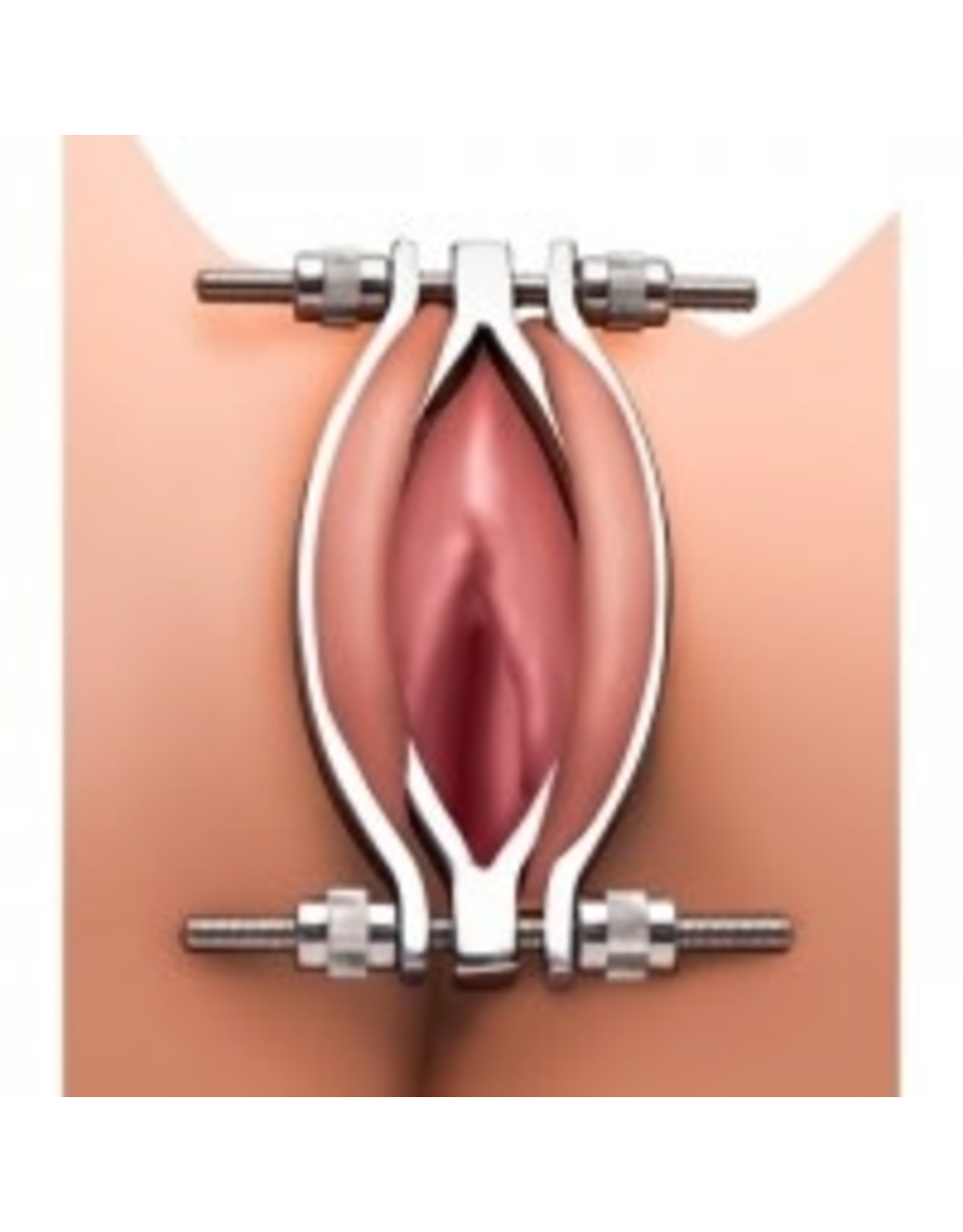 Master Series - Stainless Steel Adjustable Pussy Clamp