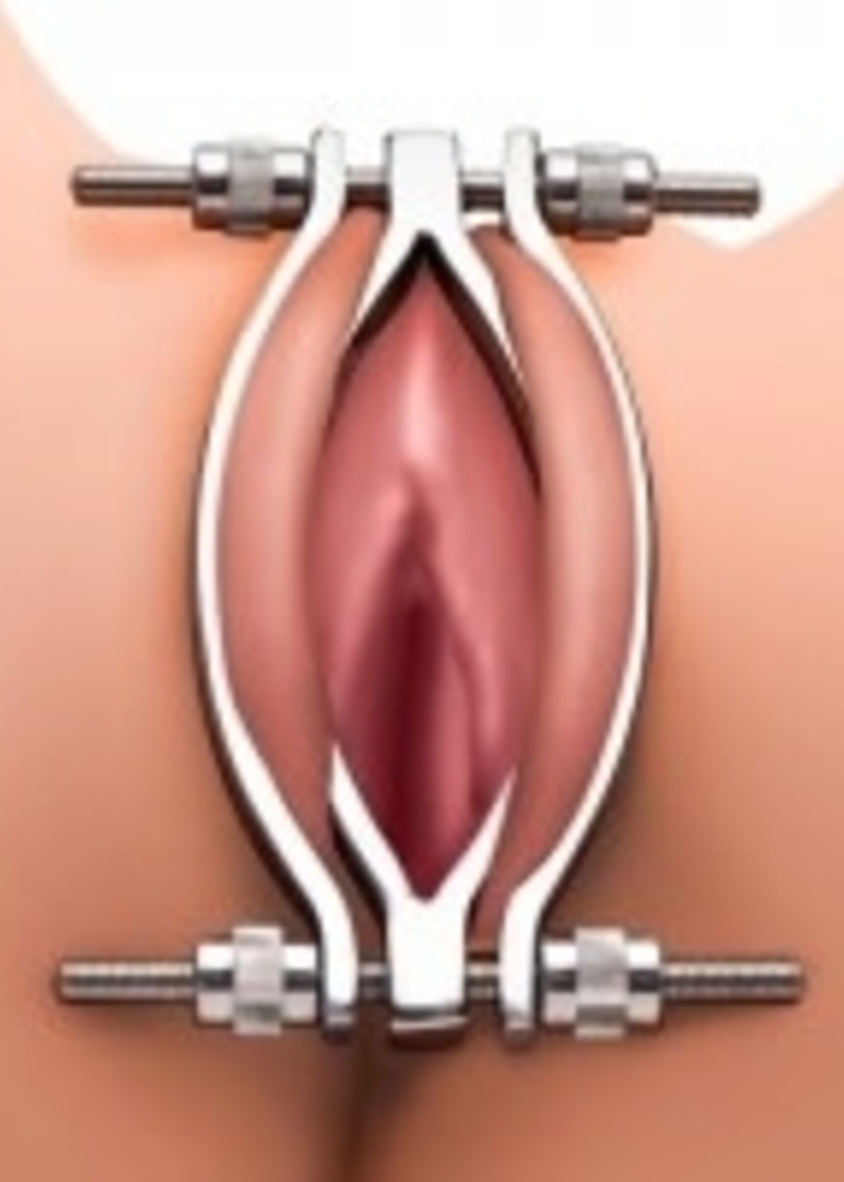 Master Series - Stainless Steel Adjustable Pussy Clamp