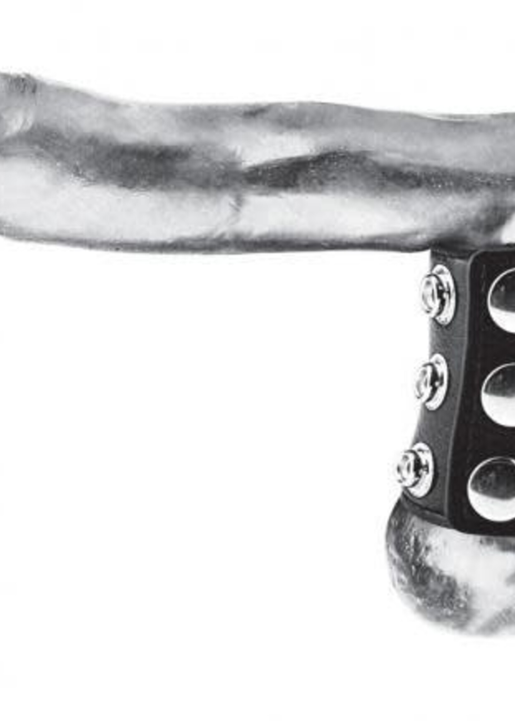 BlueLine - 2.5" Snap Ball Stretcher