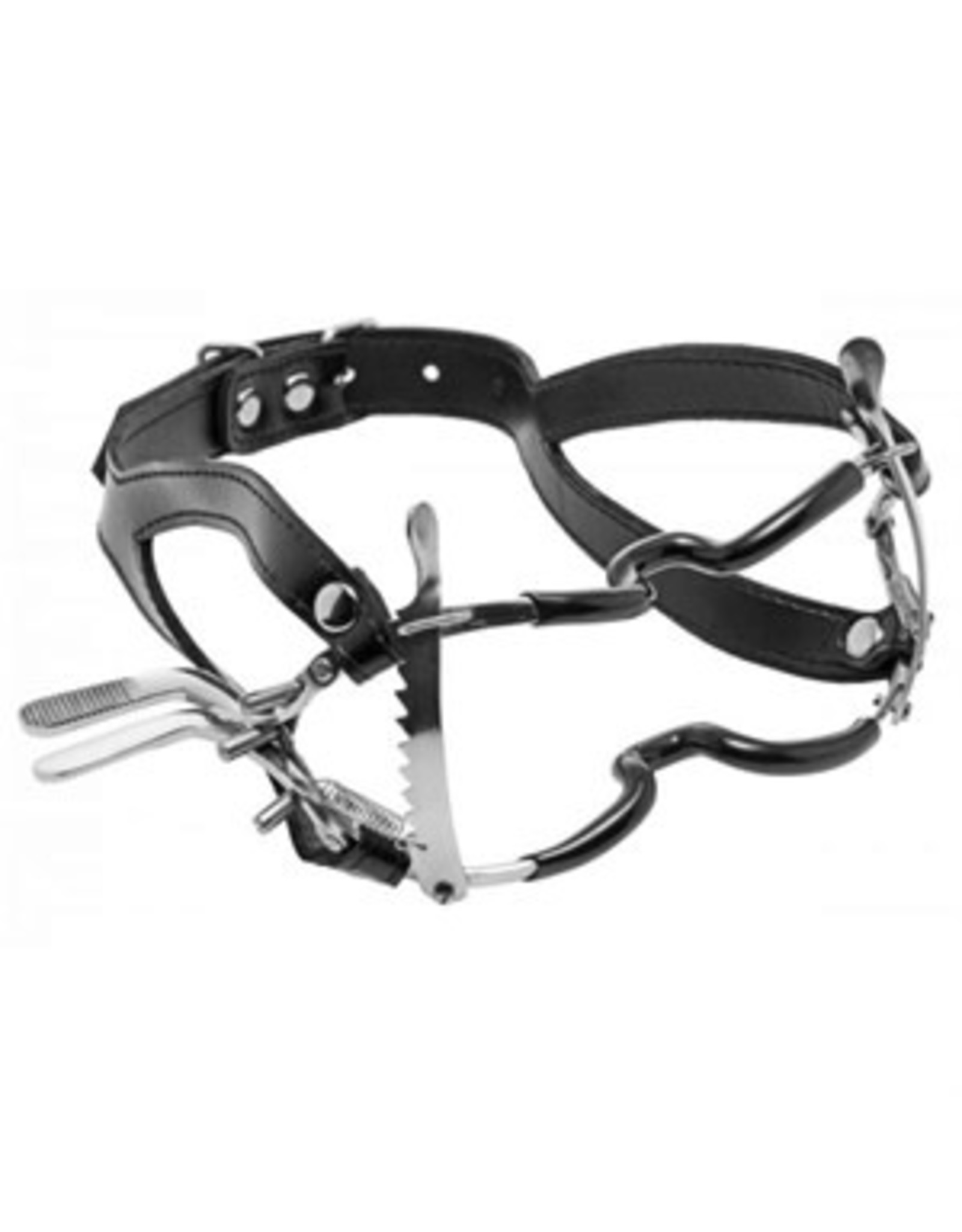 XR Brands Ratchet Style Jennings Mouth Gag with Leather Straps