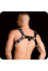 Ouch! Costas - Upper Body Harness