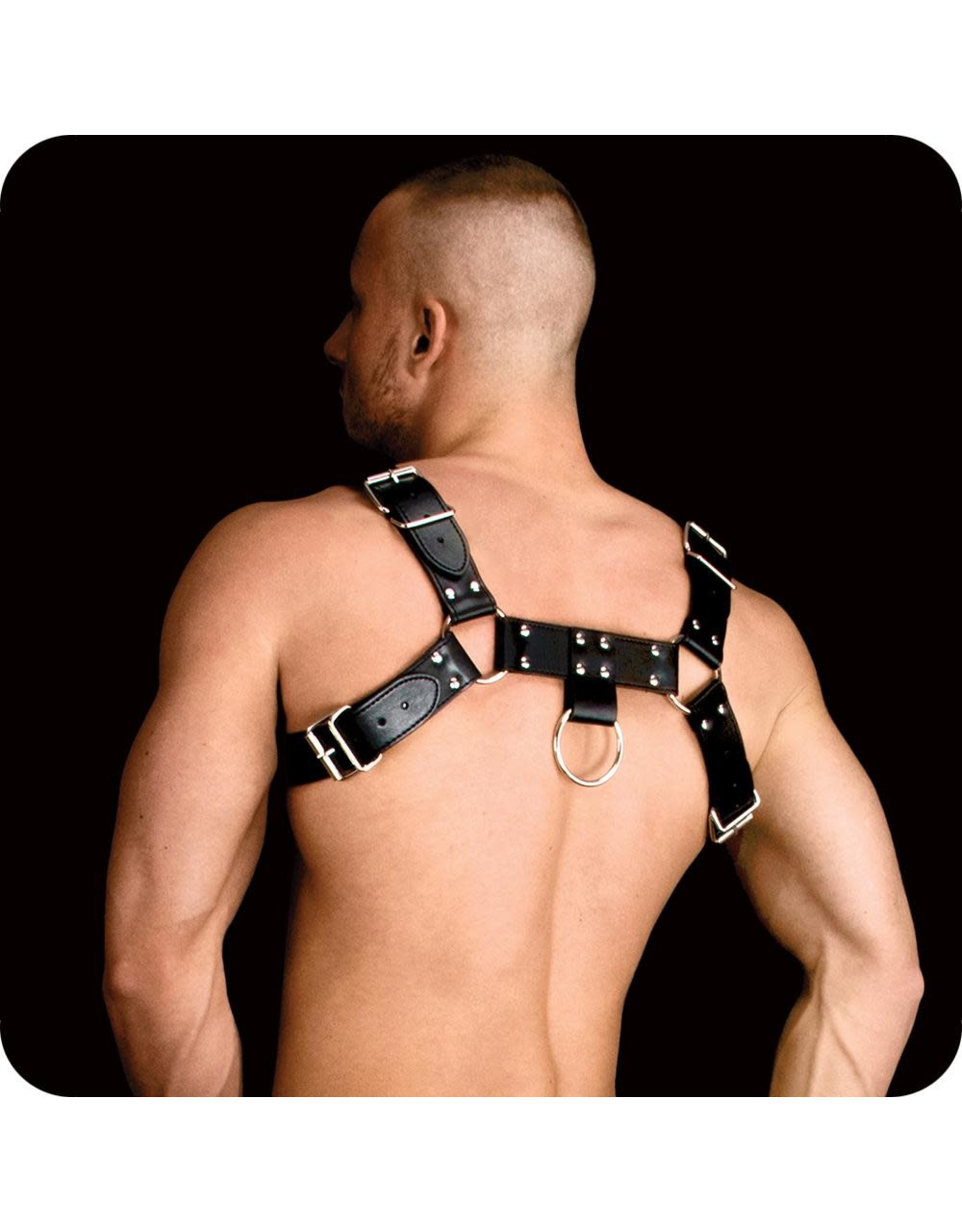 Ouch! Costas - Upper Body Harness